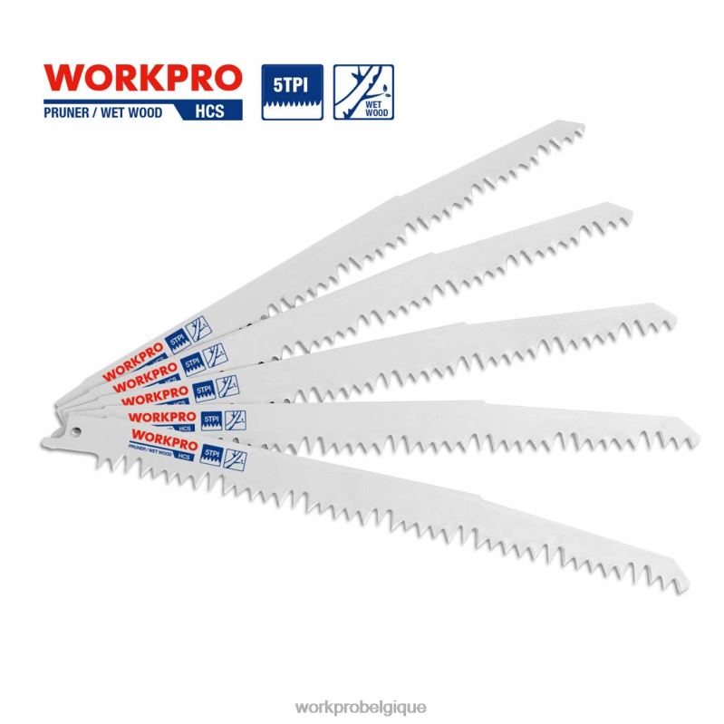 WORKPROEnsemble de 5 lames de scie alternative pour l'élagage du bois de 9 pouces N4DL208 outil