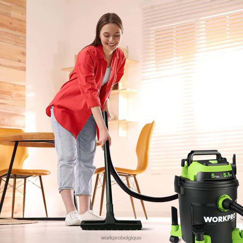 WORKPROAspirateur d'atelier de 5 gallons, aspirateur d'atelier d'une puissance maximale de 5,5 chevaux avec filtre HEPA, tuyau et accessoires N4DL214 outil