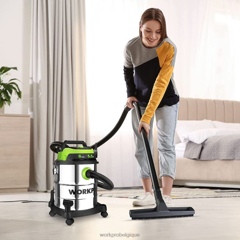 WORKPROAspirateur d'atelier sec/humide de 6 gallons avec filtre Hepa, tuyau et accessoires pour la collecte de poussière à la maison/sur chantier N4DL213 outil