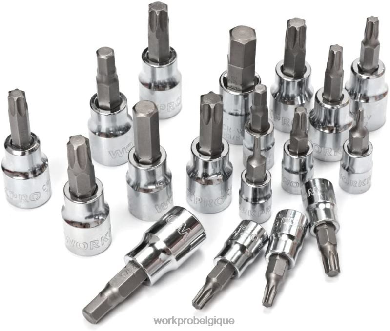 WORKPROEnsemble d'outils de mécanique professionnels universels de 450 pièces avec boîte robuste N4DL306 outil