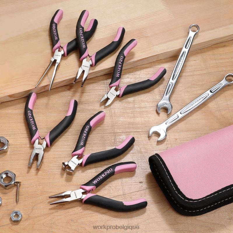WORKPROJeu de 6 mini pinces avec pochette N4DL65 outil