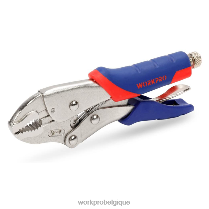 WORKPROKit d'outils d'entretien domestique, jeu de pinces 4 pièces N4DL79 outil