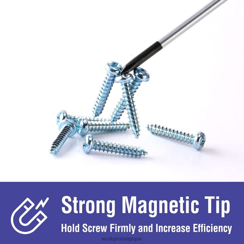 WORKPROjeu de tournevis magnétiques, 16 tournevis de précision cruciformes à fente Torx avec magnétiseur N4DL98 outil