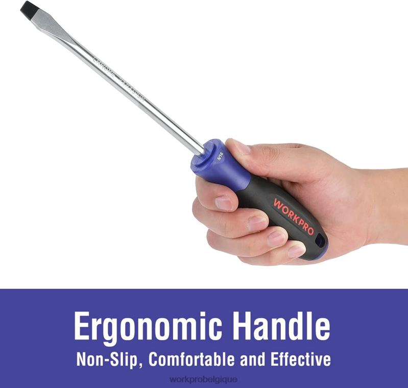 WORKPROjeu de tournevis magnétiques, 16 tournevis de précision cruciformes à fente Torx avec magnétiseur N4DL98 outil