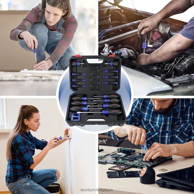 WORKPROjeu de tournevis magnétiques, 16 tournevis de précision cruciformes à fente Torx avec magnétiseur N4DL98 outil