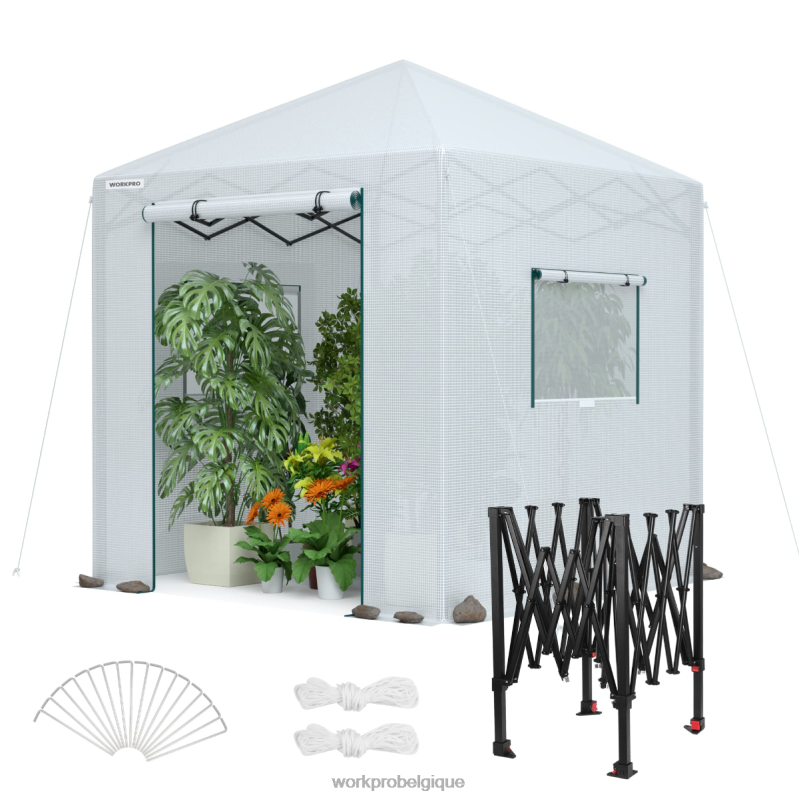 WORKPROserre portative de plain-pied N4DL279 outil