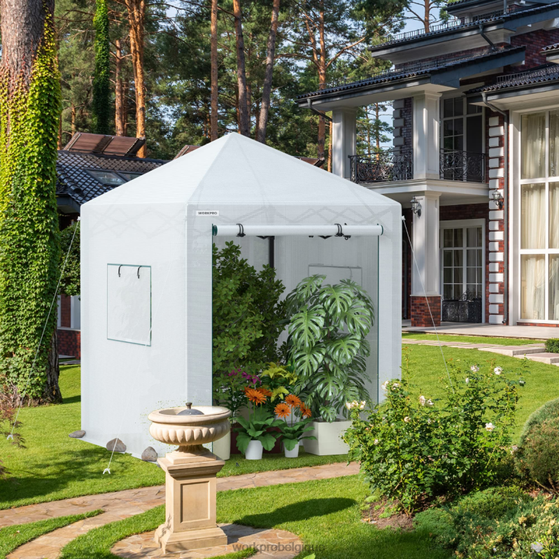 WORKPROserre portative de plain-pied N4DL289 outil